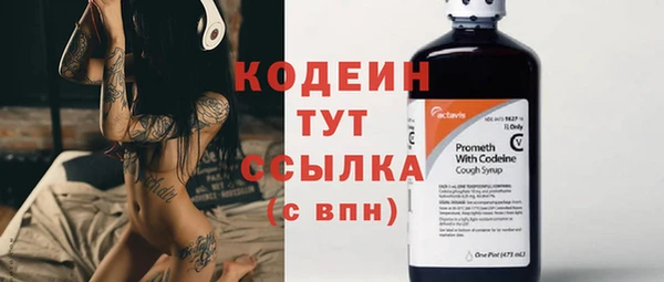 дурь Заводоуковск