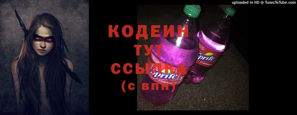 дурь Заводоуковск